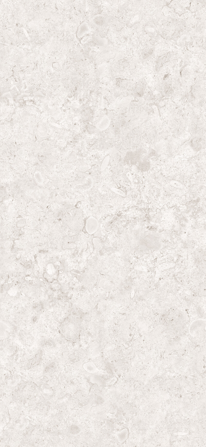 CORALINA PERLA NATURAL 120X260