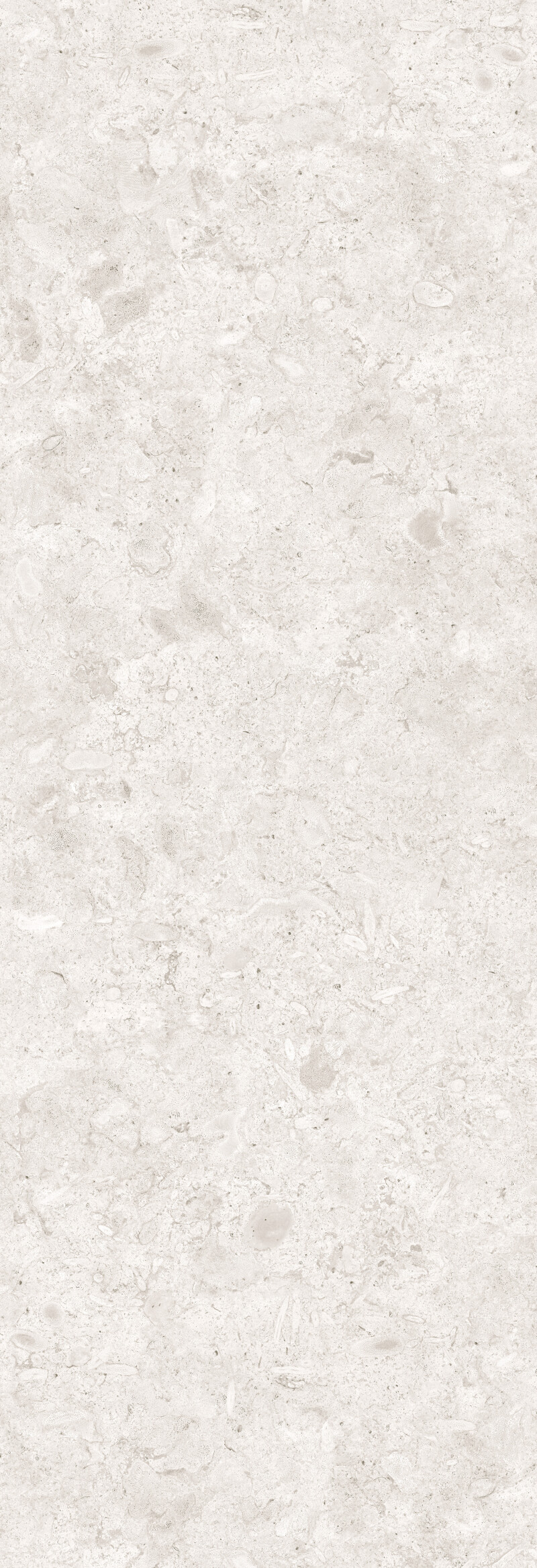 CORALINA PERLA NATURAL 120X360