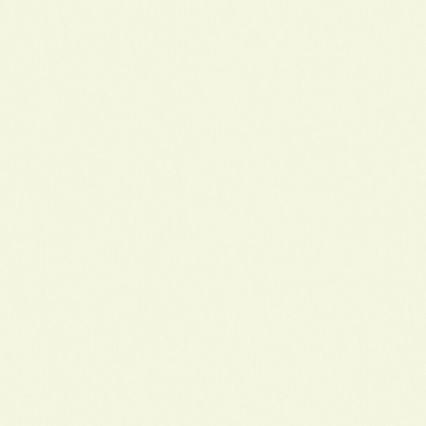 BASIC BLANCO NATURAL 100X100