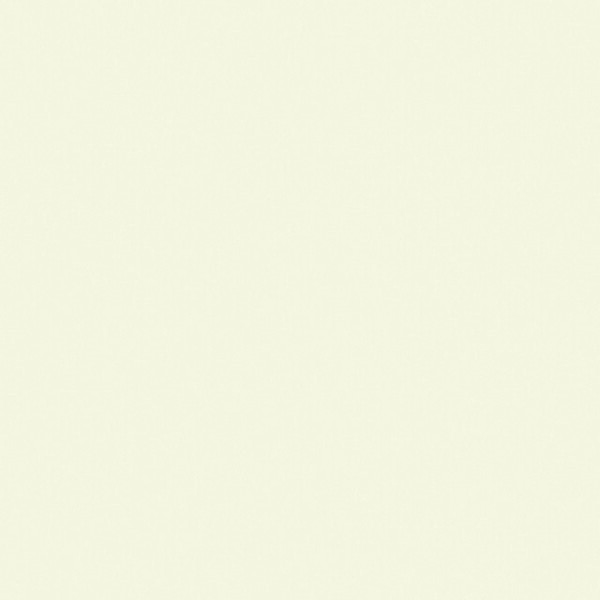 BASIC BLANCO NATURAL 100X300