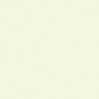 BASIC BLANCO NATURAL 100X300