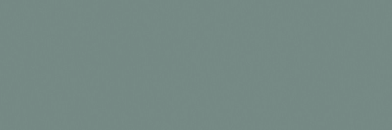 BASIC GRIS NATURAL 100X300