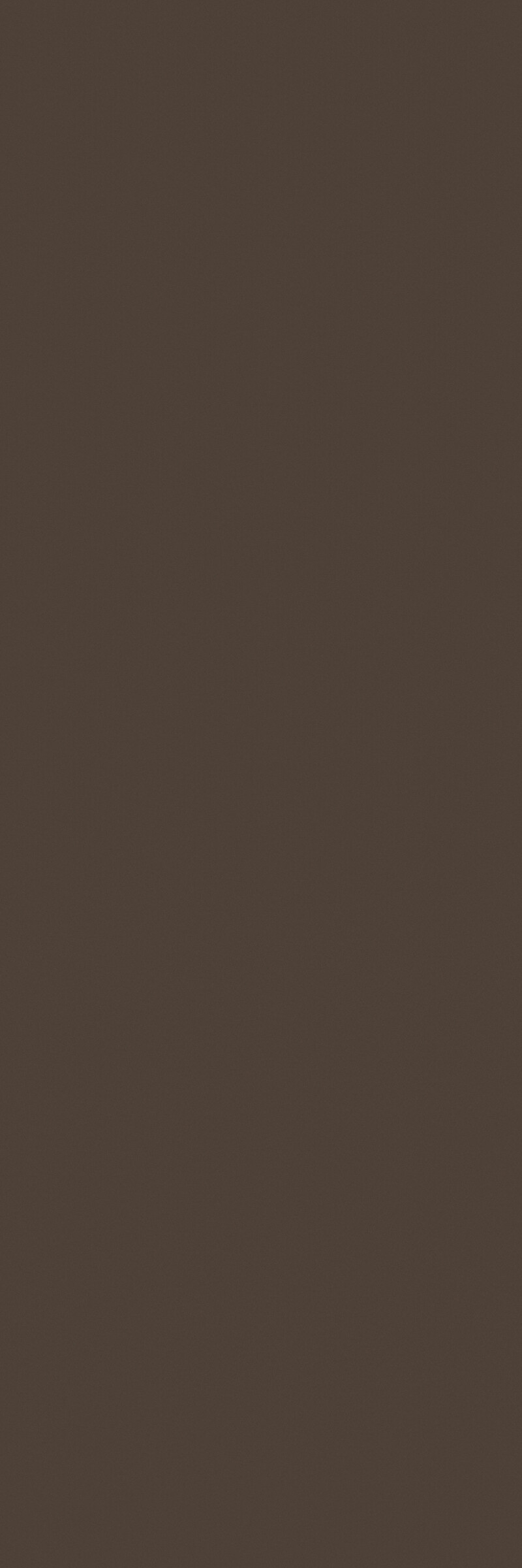BASIC TABACO NATURAL 100X300