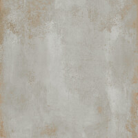 DISTRITO ALUMINIO NATURAL 100X300