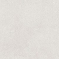 DOMUS BLANCO NATURAL 60X120