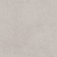 DOMUS GRIS ANTISLIP 60X120