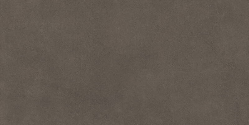 DOMUS TAUPE NATURAL 60X120