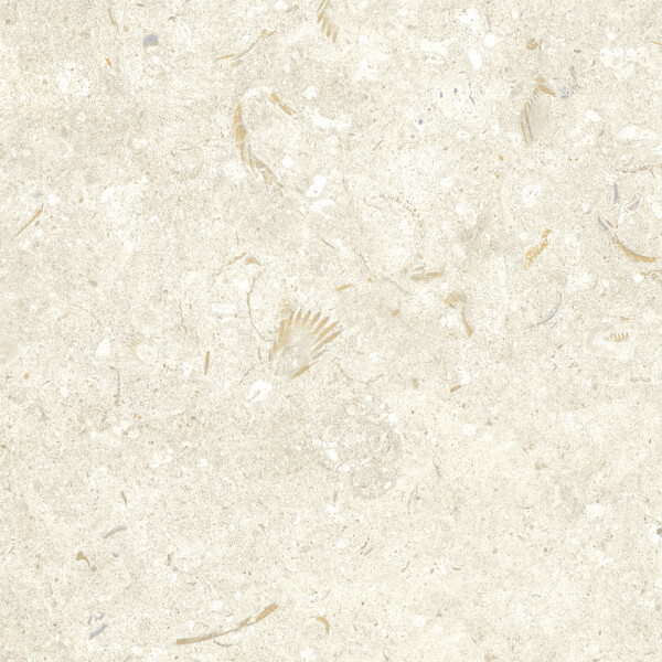 FOSIL BONE NATURAL 30X60
