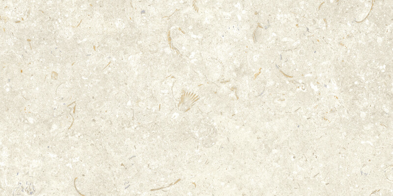 FOSIL BONE NATURAL 30X60