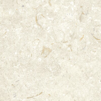 FOSIL BONE NATURAL 30X60