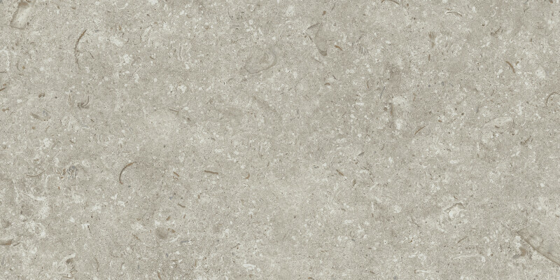 FOSIL GRIS NATURAL 30X60