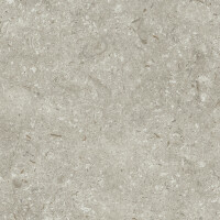 FOSIL GRIS NATURAL 30X60