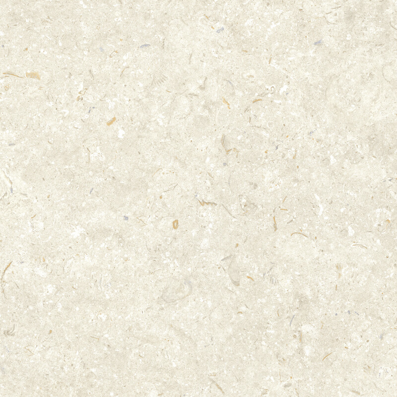FOSIL BONE NATURAL 60X60