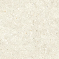 FOSIL BONE NATURAL 60X60