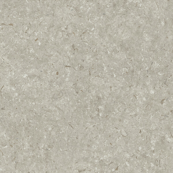 FOSIL GRIS NATURAL 60X60
