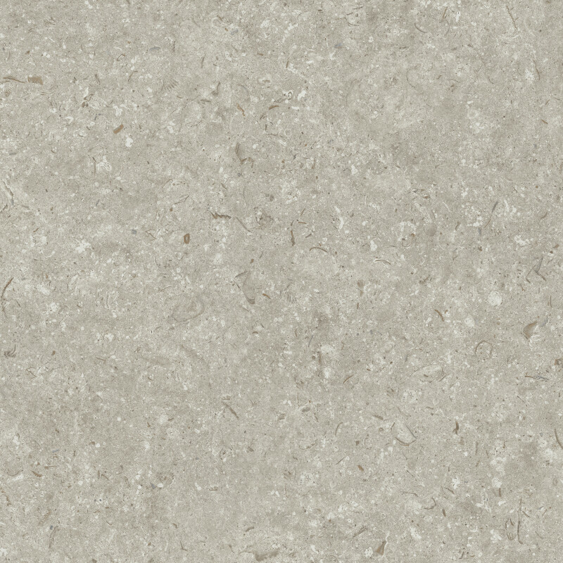 FOSIL GRIS NATURAL 60X60