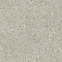 FOSIL GRIS NATURAL 60X60