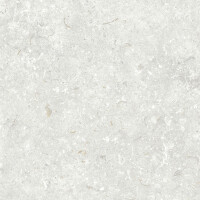 FOSIL PERLA NATURAL 60X60