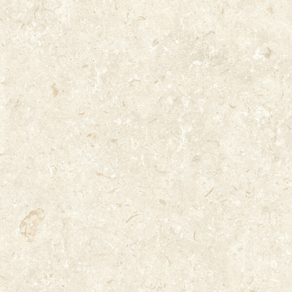 FOSIL BONE NATURAL 80X80