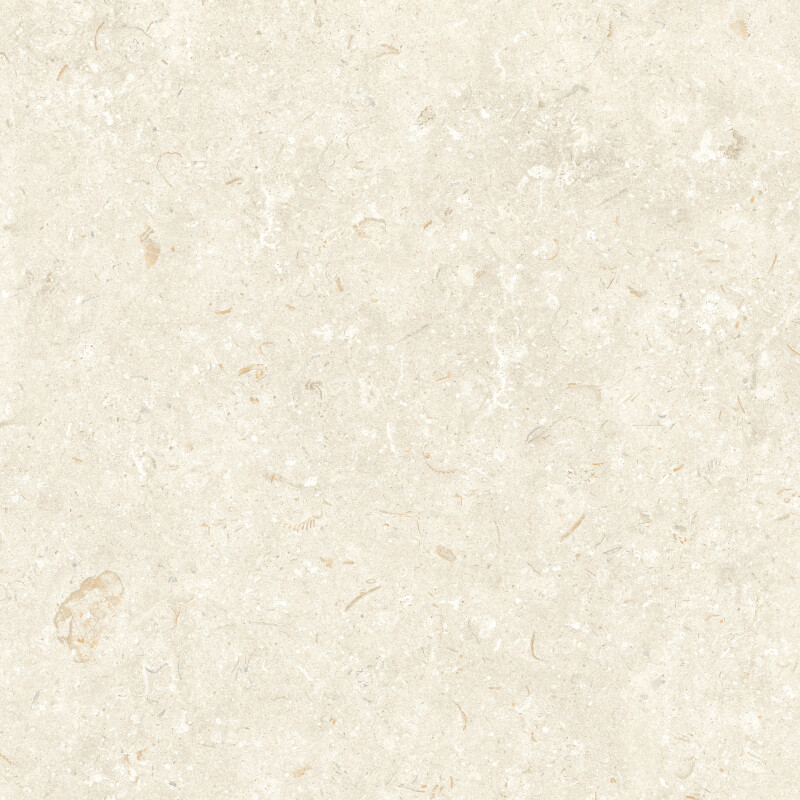 FOSIL BONE NATURAL 80X80