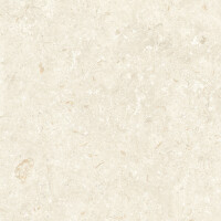 FOSIL BONE NATURAL 80X80
