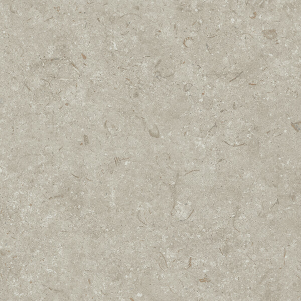 FOSIL GRIS NATURAL 80X80