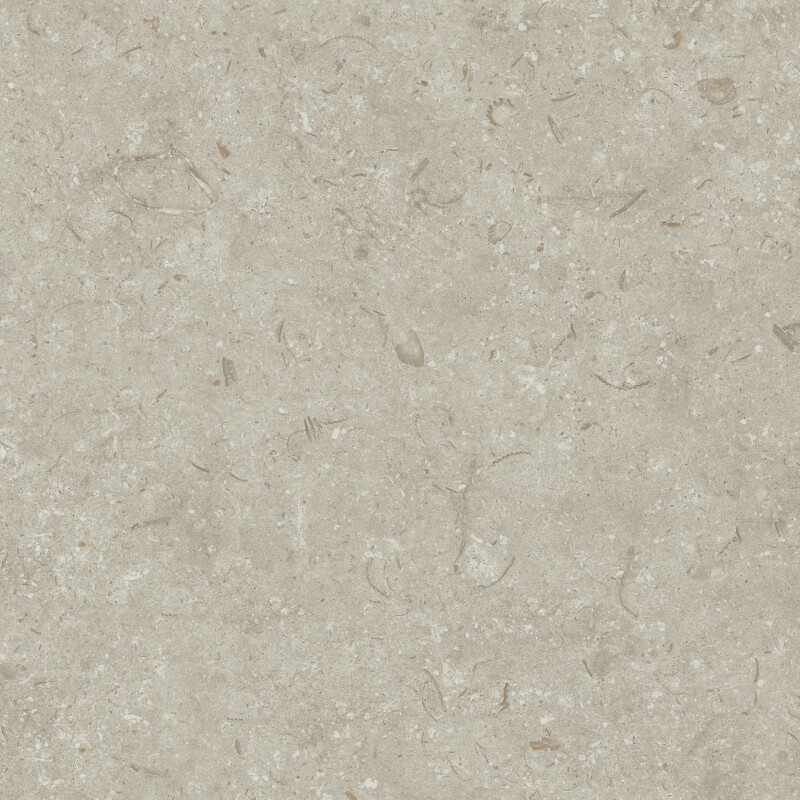 FOSIL GRIS NATURAL 80X80