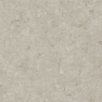 FOSIL GRIS NATURAL 80X80