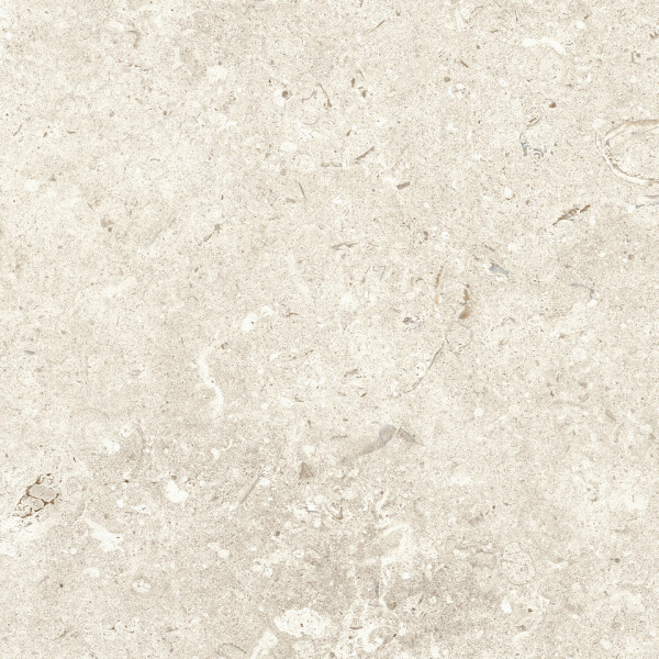 FOSIL BONE NATURAL 30X60