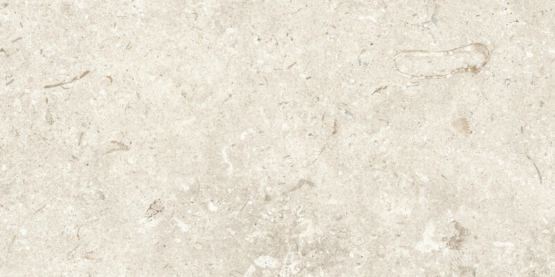 FOSIL BONE NATURAL 30X60