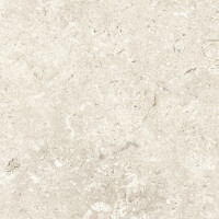 FOSIL BONE NATURAL 30X60