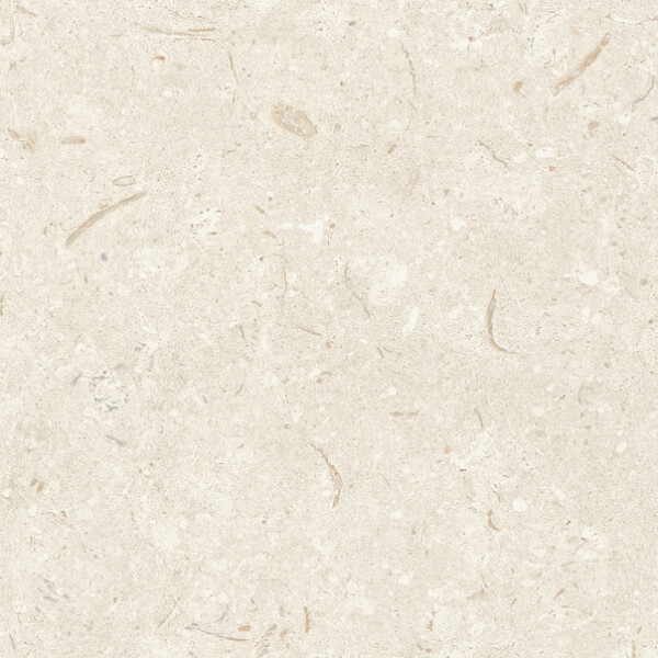 FOSIL BONE NATURAL 31.5X100