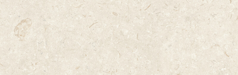 FOSIL BONE NATURAL 31.5X100
