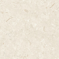 FOSIL BONE NATURAL 31.5X100