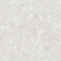 FOSIL PERLA NATURAL 31.5X100