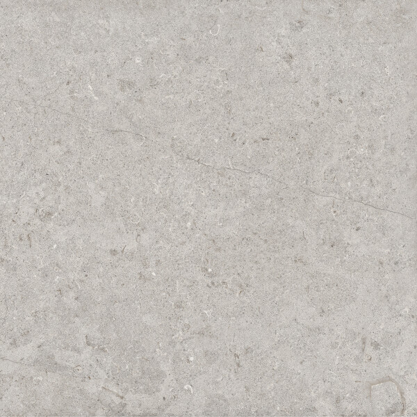 GARONA GRIS NATURAL 60X60