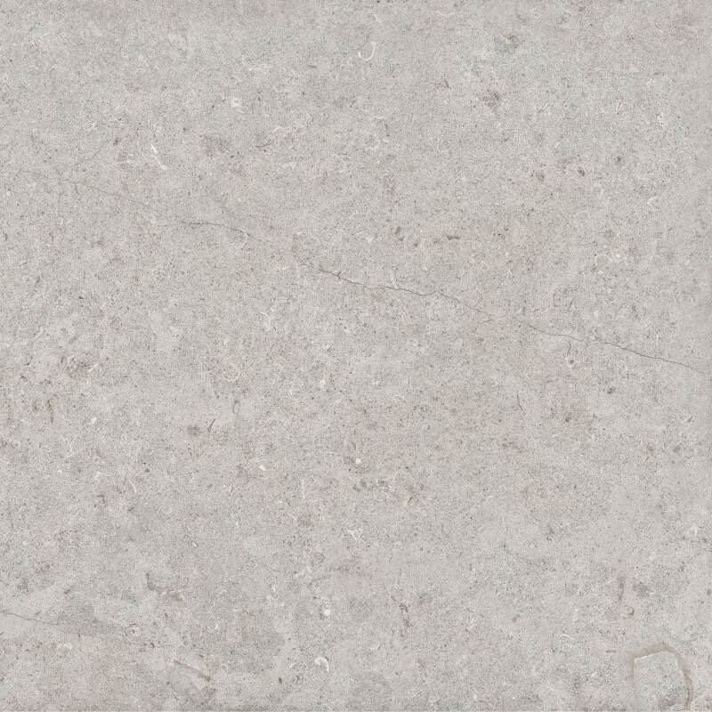 GARONA GRIS NATURAL 60X60