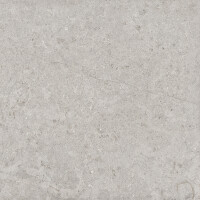 GARONA GRIS NATURAL 60X60