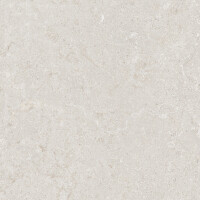 HAZA GRIS NATURAL 60X60