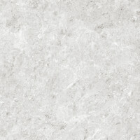 HERMITAGE GRIS NATURAL 120X120