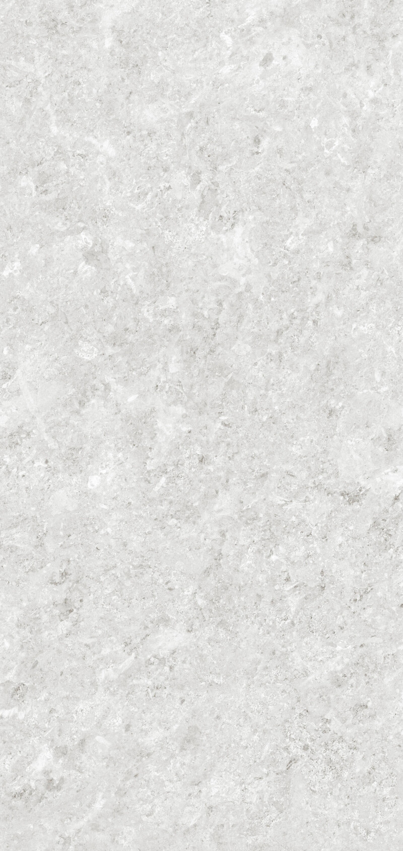 HERMITAGE GRIS NATURAL 120X260