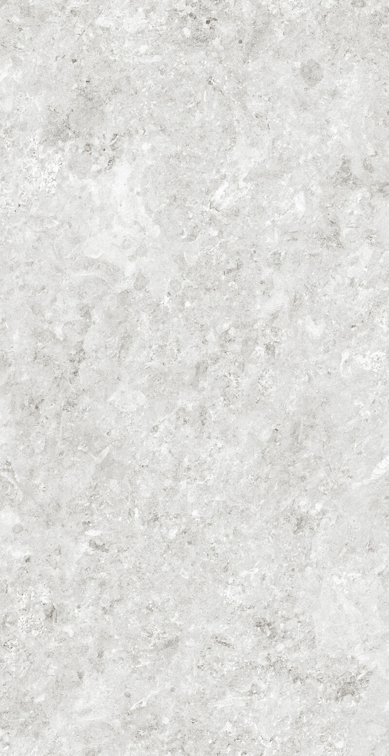 HERMITAGE GRIS NATURAL 60X120