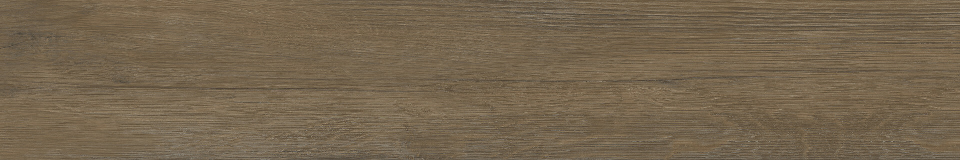 jungal-26x160-teca-web.webp