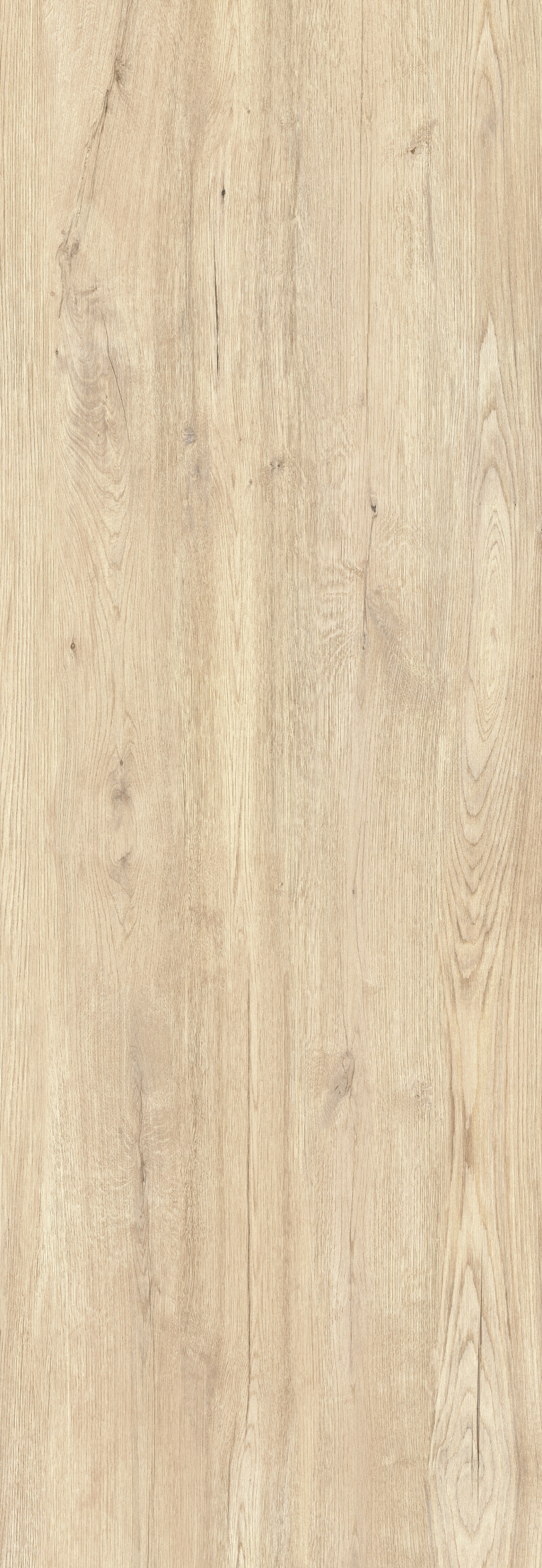JUNGLA ABETO NATURAL 100X300