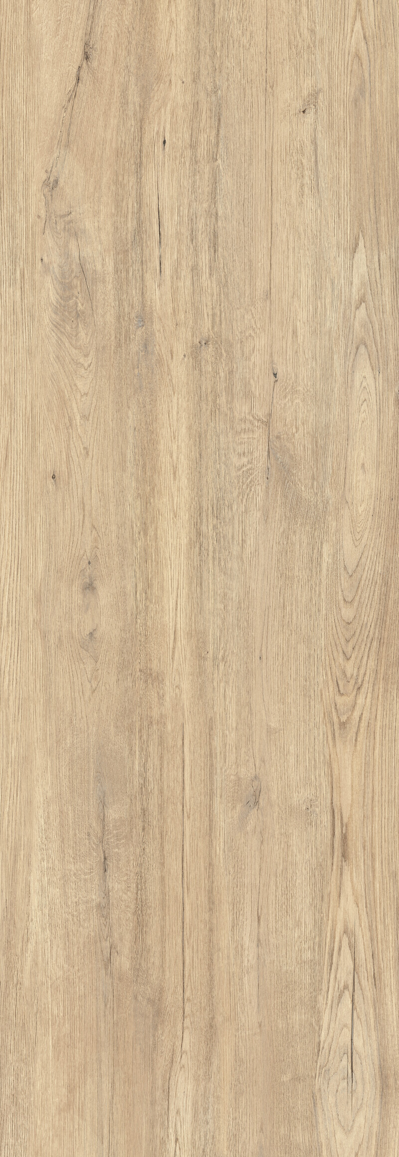 JUNGLA CIPRES NATURAL 100X300