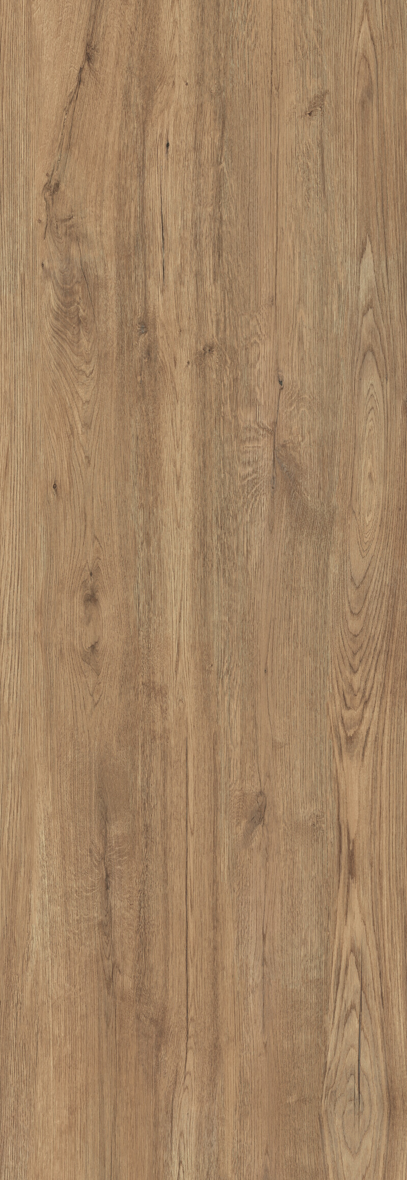 JUNGLA IROKO NATURAL 100X300