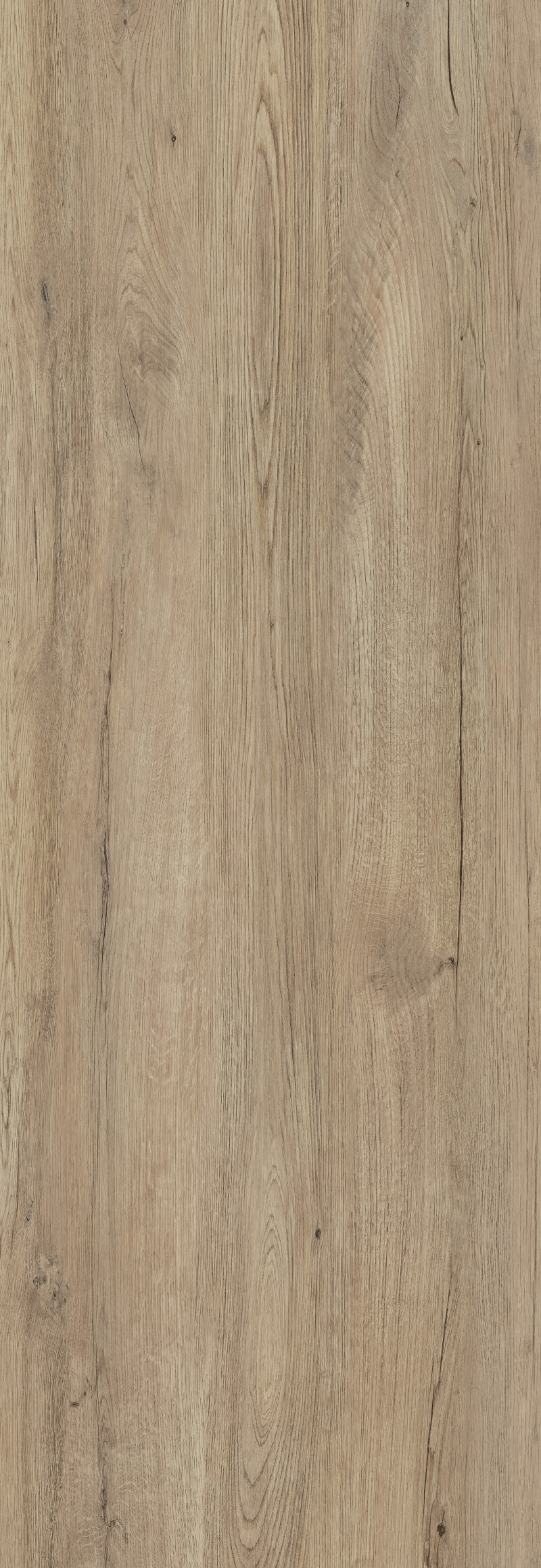 JUNGLA ROBLE NATURAL 100X300