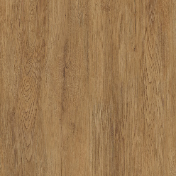 JUNGLA IROKO NATURAL 120X360