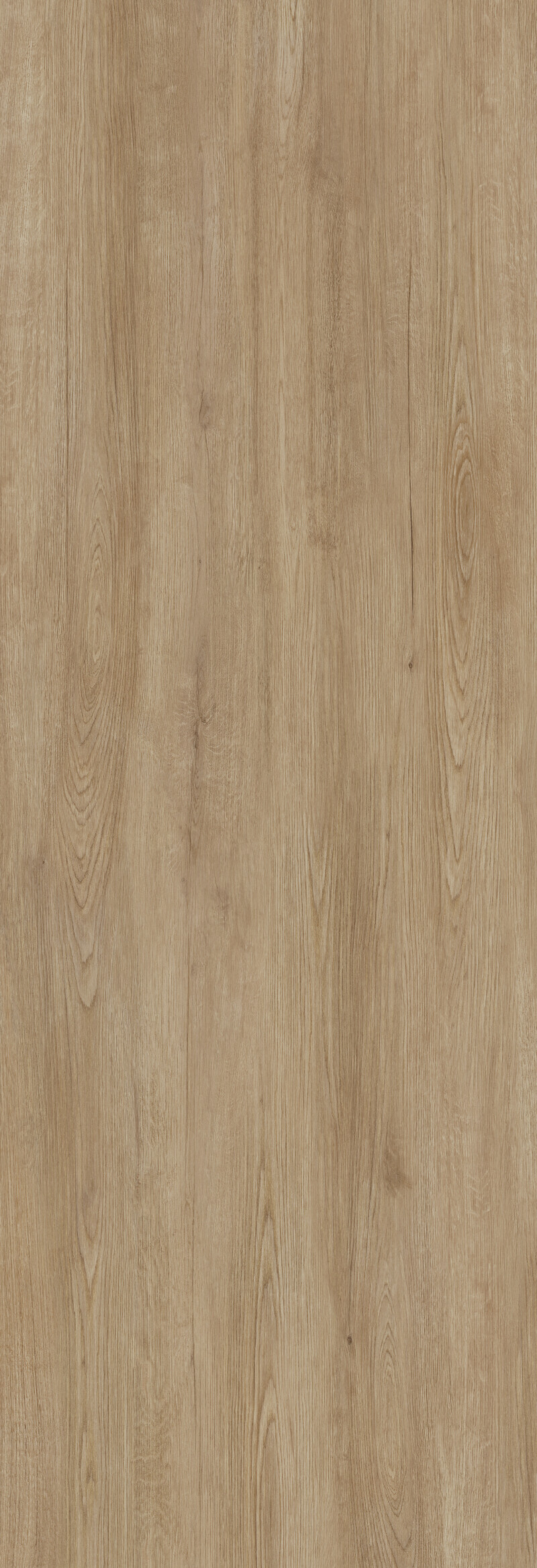 JUNGLA ROBLE NATURAL 120X360