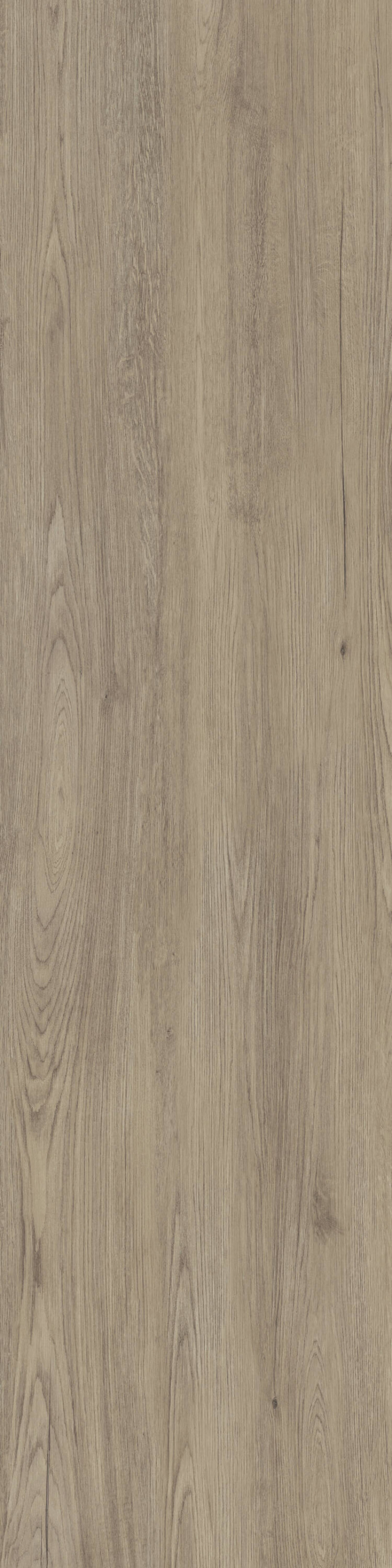 JUNGLA ROBLE NATURAL 81X324